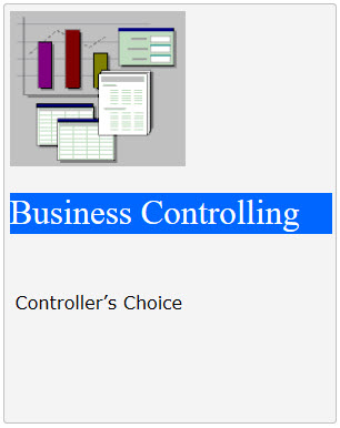 LogoBusinessControlling
